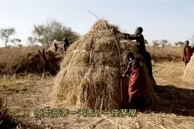 原始部落一天盖好一座茅屋视频封面