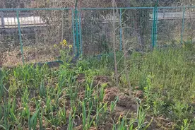 浙江老板300块钱包高速公路边黄鳝，今天的鱼获不知道值不值视频封面