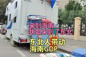 来到海南就犹如来到了东北，是东北人带动了海南的GDP，不服不行视频封面