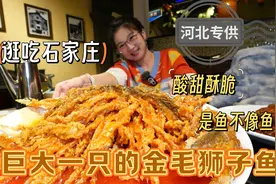【逛吃石家庄】硕大一只金毛狮子鱼！河北专供！酸甜酥脆像薯条树