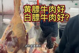 牛肉到底是白膘的好还是黄膘的好？自然生长的牛几年才会有黄膘？视频封面