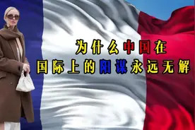 外网热议：为何熊猫在国际上的阳谋永远无解视频封面
