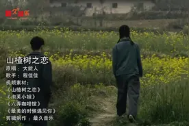 1552. 一首好听的《山楂树之恋》，暖心的歌词，唱出了甜美的爱情视频封面