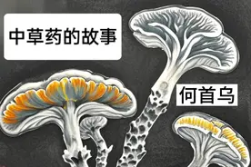 《何首乌》的故事视频封面