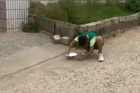 蚊子守村人