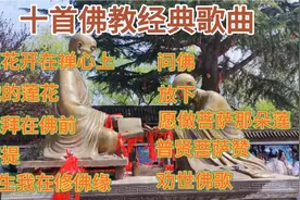 全网最好听的十首佛教音乐《跪拜在佛前》《劝世佛歌》《菩提》视频封面