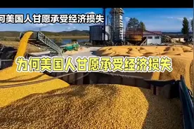 为何美国人甘愿承受经济损失也要对中国粮食输出视频封面