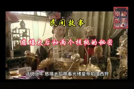 慈禧秘史视频封面