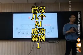 武汉AI方向成功案例（1）视频封面