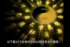 十二生肖对应五行属性视频封面