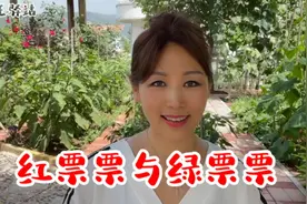 红票票出村容易回村难，骑墙观望理智战胜情感省吃俭用钱去了哪里视频封面