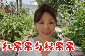 红票票出村容易回村难，骑墙观望理智战胜情感省吃俭用钱去了哪里视频封面
