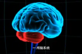 两分钟带你了解人体器官结构视频封面