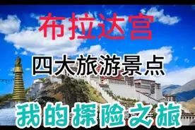 在游览布达拉宫时，建议提前了解相关历史和文化背景，666视频封面