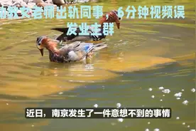 女幼师出轨同事，6分钟视频误发业主群视频封面