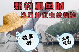 野钓鲫鱼时，大揭秘这五种红虫挂钩法，效果好，立竿见影视频封面