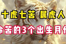 十虎七苦，属虎人“命苦”的3个出生月份，你家有几个？视频封面