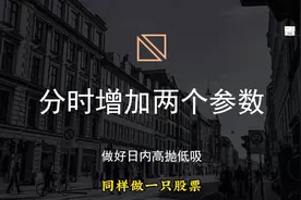 分时图只需增加两个参数，日内轻松高抛低吸！视频封面