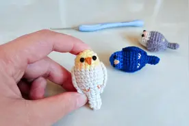 用毛线钩织可爱的小鹦鹉，适合新手学习的钩针教程，快来试试吧