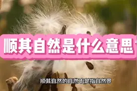 顺其自然是什么意思？视频封面