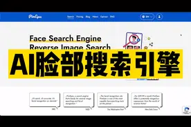 Ai脸部搜索引擎，查看你的隐私有无泄露 #ai #隐私 #隐私保护视频封面