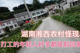 湖南湘西农村出现怪现象 好多在外打工的都提前回家了 看看咋回事视频封面