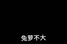 正片开始视频封面