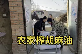 一年到头以吃胡麻油为主，看看甘肃农家自家榨胡麻油