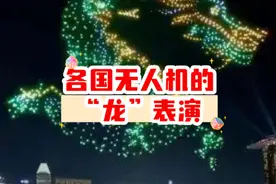 外国网友看各国无人机表演的“龙”，你觉得哪个好看？#龙年大吉视频封面
