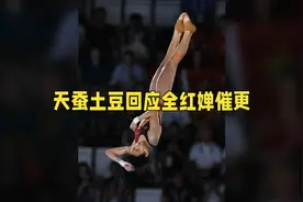 天蚕土豆回应全红婵催更视频封面