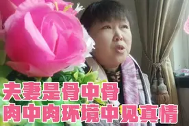每天讲圣经，骨中骨肉中肉环境中，看到人的真情很本性视频封面