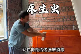 新买的床生了好多小虫子，老公拿消毒水喷洒，不知道能不能灭掉视频封面