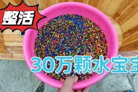 把三十万颗水宝宝倒进浴缸里，泡上一夜，会有多壮观？视频封面