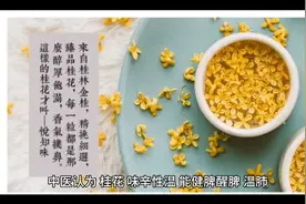 桂花的作用与用处！视频封面