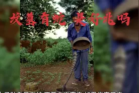 坟墓出现蛇，是好事还是坏事?视频封面