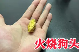 花580元在网上一折买到10克狗头金，商家承诺正品保真！火烧咋样视频封面