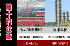 宁夏排名前十的企业视频封面