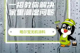 一招教你解决家里潮湿问题。视频封面