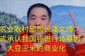 农业农村部司长潘文博。正式承认我国将进行转基因大豆的商业化。视频封面