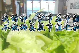 我的神，沪市股票总市值竟然不敌两家美股市值之和？视频封面