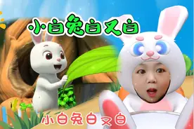 宝宝儿歌《小白兔白又白》视频封面