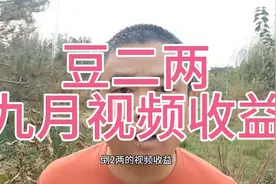 两百万粉丝的优质博主豆二两能挣多少钱？能不能月入十万？