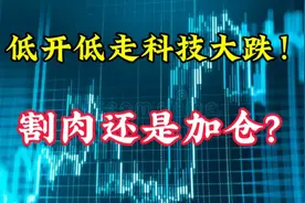 A股全线跳水科技大跌！割肉还是加仓？谁来拯救市场视频封面