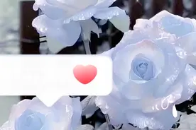 塔罗牌占卜：你的领导欣赏你，你将成为别人模仿的对象视频封面