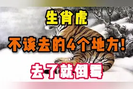 生肖虎最不该去的4个地方!去了会倒霉。视频封面