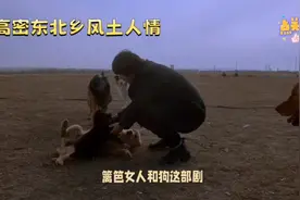 东北风土人情视频封面
