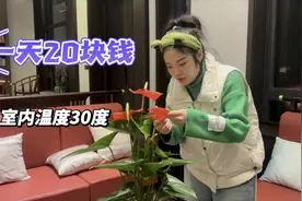我的农村自建房这样取暖也太香了！视频封面