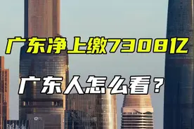 转移支付10万亿，经济发达省份的人怎么看?视频封面