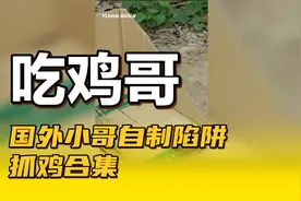 国外小哥自制陷阱抓鸡合集视频封面