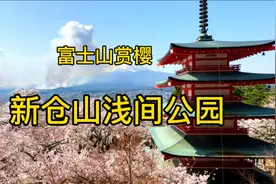 富士山赏樱之旅～新仓山浅间公园樱花满开，画面太美了视频封面